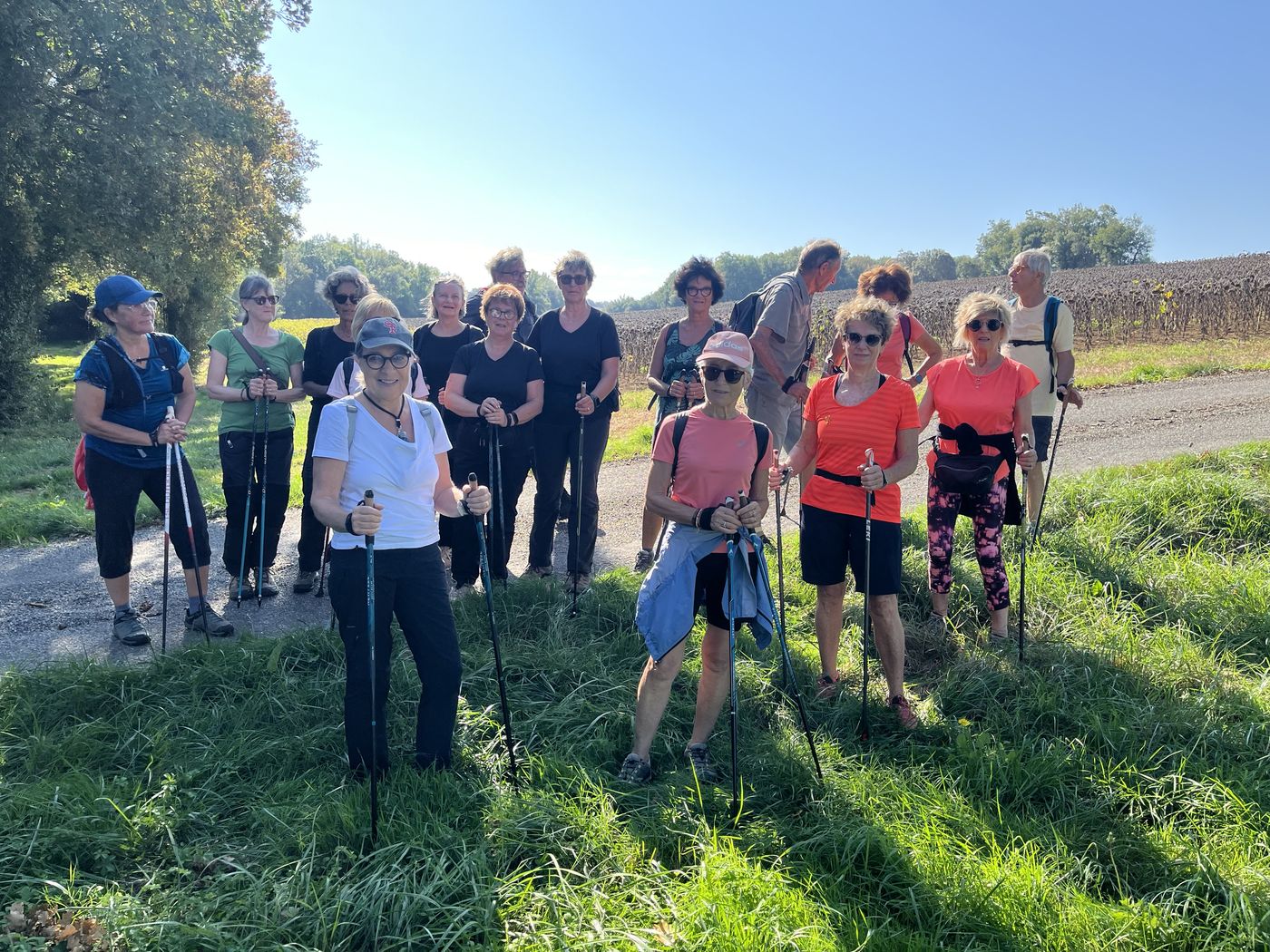 Groupe de marcheuses et marcheurs équipés de bâtons, posant sur un chemin enherbé