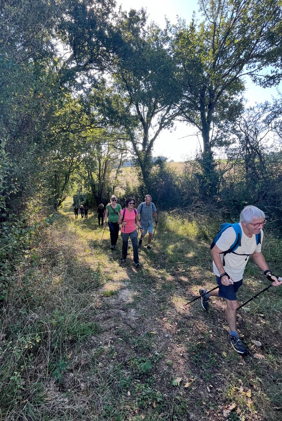 Un marcheur avance avec ses bâtons sur un sentier boisé, d’autres marcheurs derrière lui
